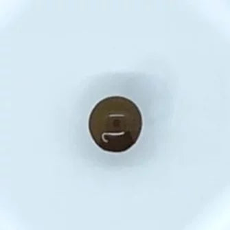 True Color 色素　ライトブラウン